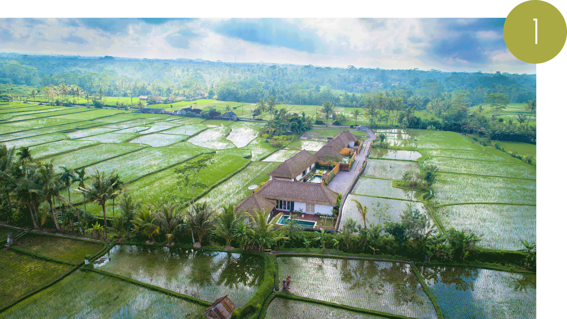 Villas au beau milieu des rizières